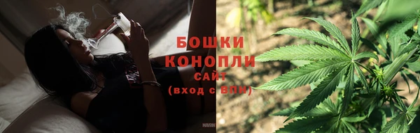 гидра Белокуриха