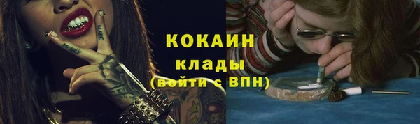 гидра Белокуриха