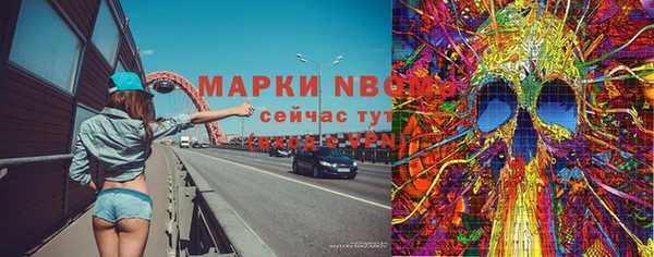 ПСИЛОЦИБИНОВЫЕ ГРИБЫ Баксан