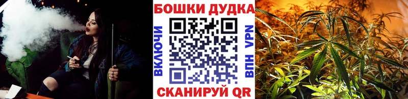 Конопля Amnesia  купить наркотики сайты  Обь 